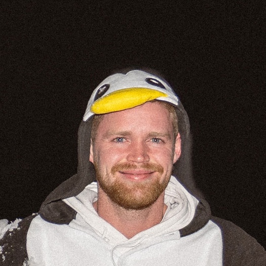 Jan-Arne Birkhölzer